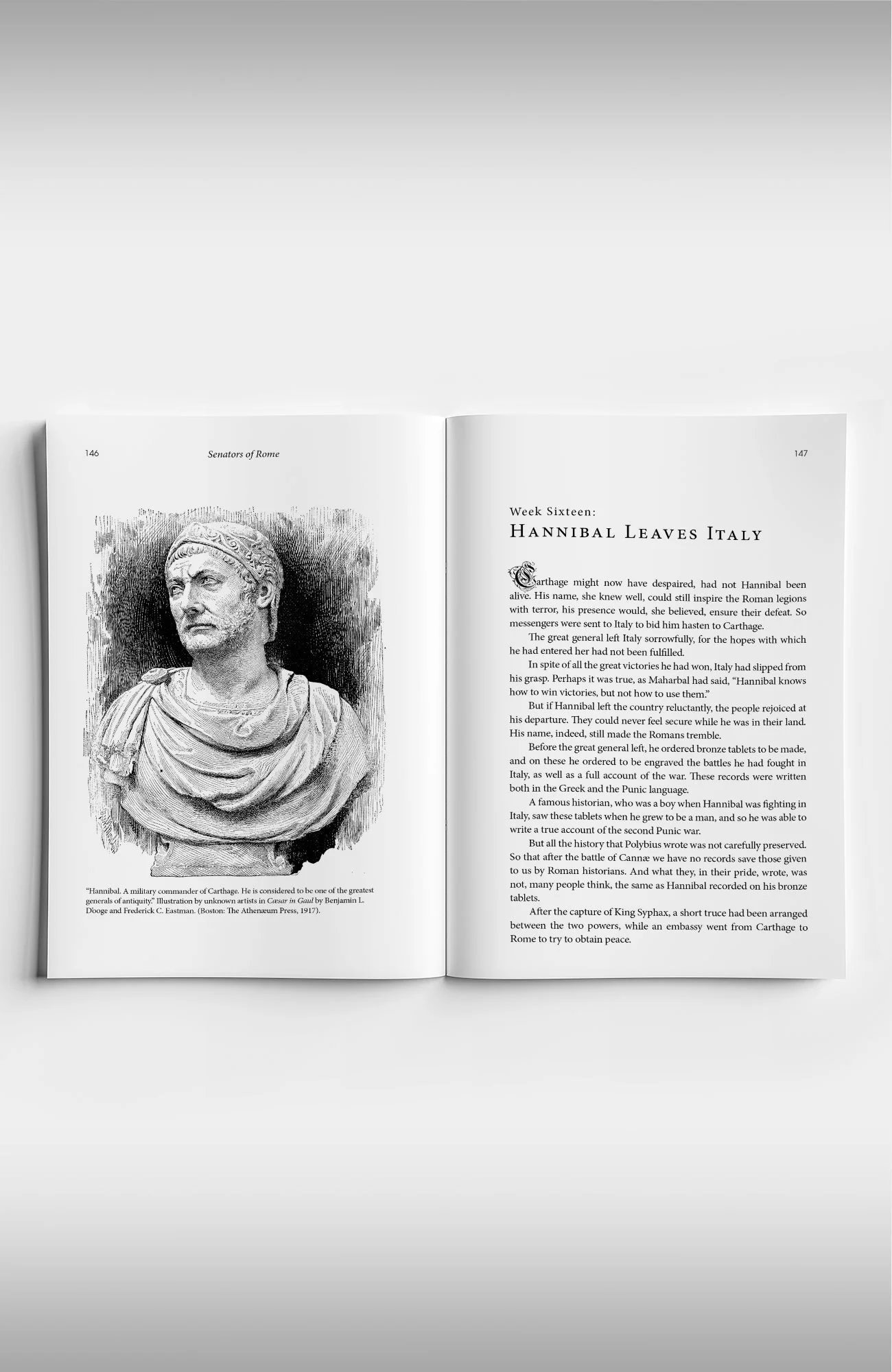 Copper Lodge Library: SENATORS OF ROME - Image 4